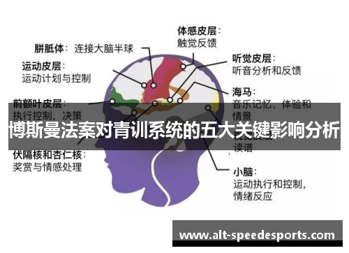 博斯曼法案对青训系统的五大关键影响分析