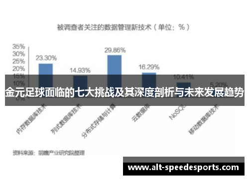 金元足球面临的七大挑战及其深度剖析与未来发展趋势