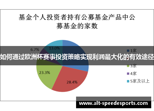 如何通过欧洲杯赛事投资策略实现利润最大化的有效途径